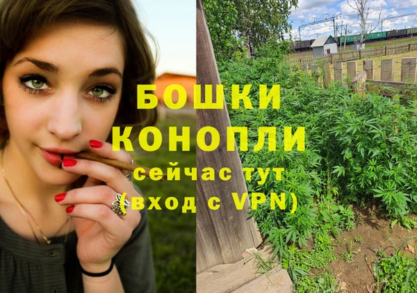 дмт Россошь