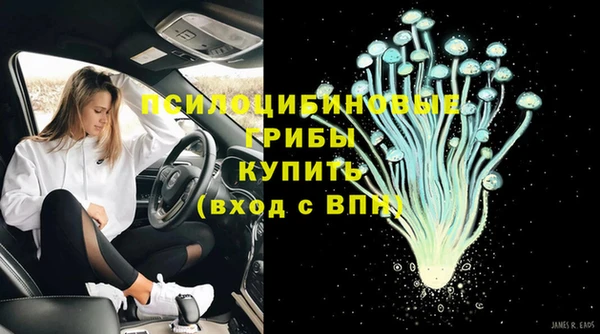 дмт Россошь