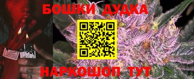 сатива Тверь