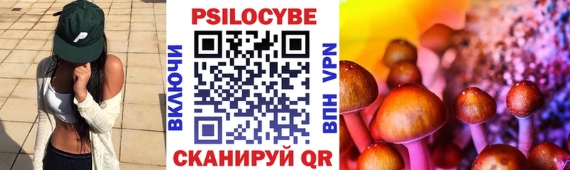 Псилоцибиновые грибы Psilocybine cubensis  что такое   Скопин 